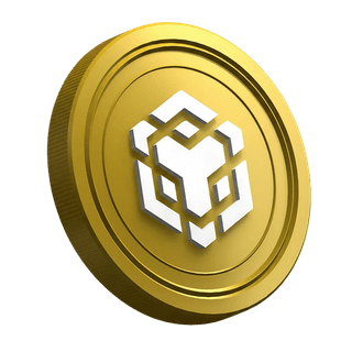 Pagina della guida per i nuovi trader con la criptovaluta BNB